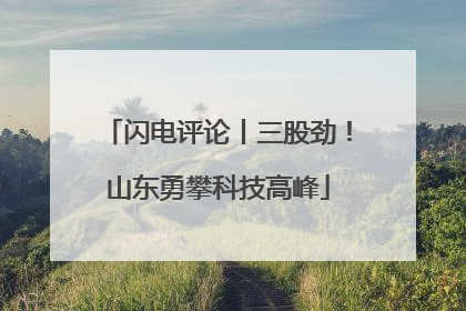 闪电评论丨三股劲！山东勇攀科技高峰